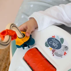 Hot 3 in 1 Cosy Seat Developmental Toys|Activity Centers & Walkers