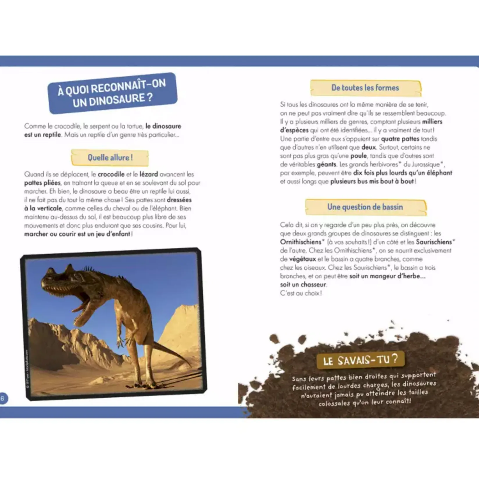 À La Découverte Des Dinosaures 4 Years And Over|2 Years And Over