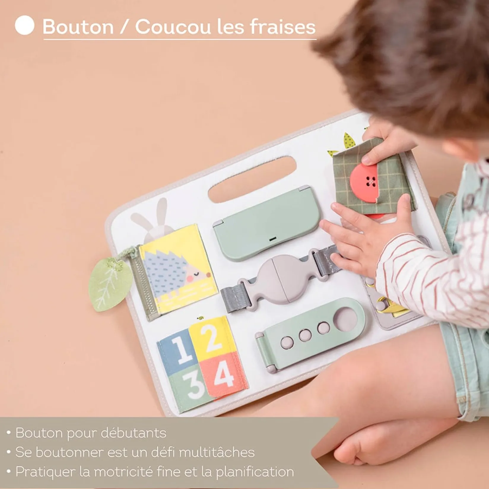 Developmental Toys>Taf Toy Activity Buckles Board