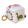 Online Activity Cube - Dino Developmental Toys