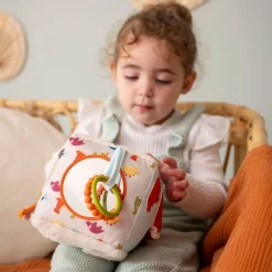 Online Activity Cube - Dino Developmental Toys