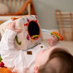 Online Activity Cube - Dino Developmental Toys