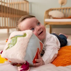 Online Activity Cube - Dino Developmental Toys