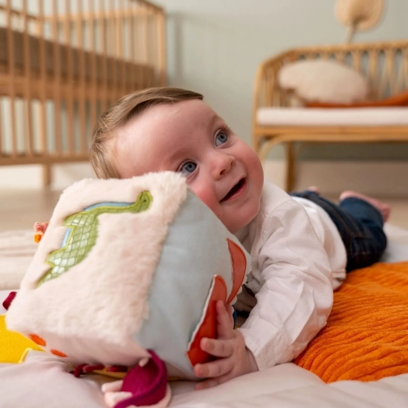 Online Activity Cube - Dino Developmental Toys