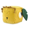 Activity Cube Mr Lion Developmental Toys