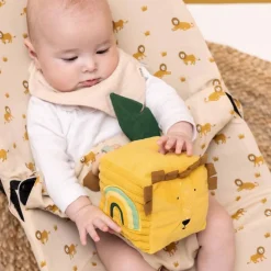 Activity Cube Mr Lion Developmental Toys