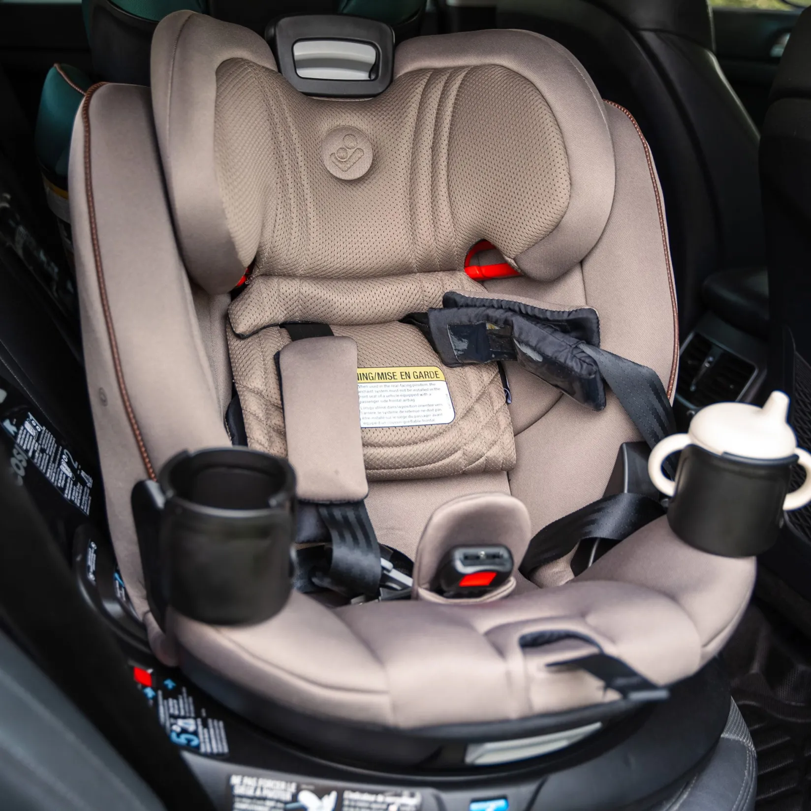 Car Seats & Booster Seats|Car Seats>Maxi-cosi Andi 360° Rotating All-in-One Car Seat- Truffle