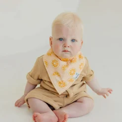 Bibs|Breastfeeding>Copper Pearl Baby Bandana Bibs (4) - Fruits