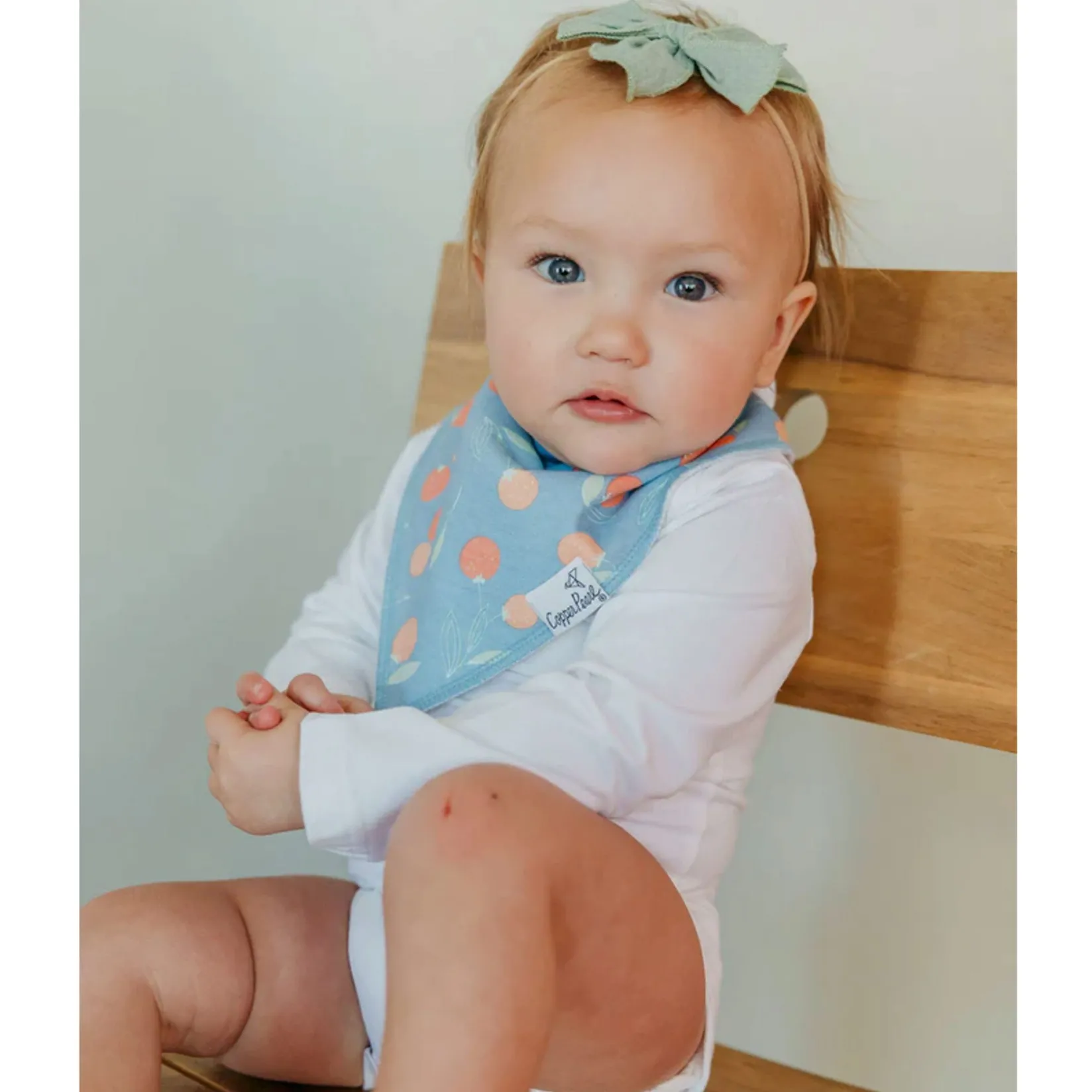 Bibs|Breastfeeding>Copper Pearl Baby Bandana Bibs (4) - Fruits