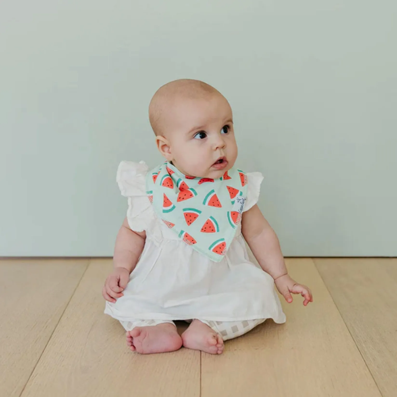 Bibs|Breastfeeding>Copper Pearl Baby Bandana Bibs (4) - Fruits