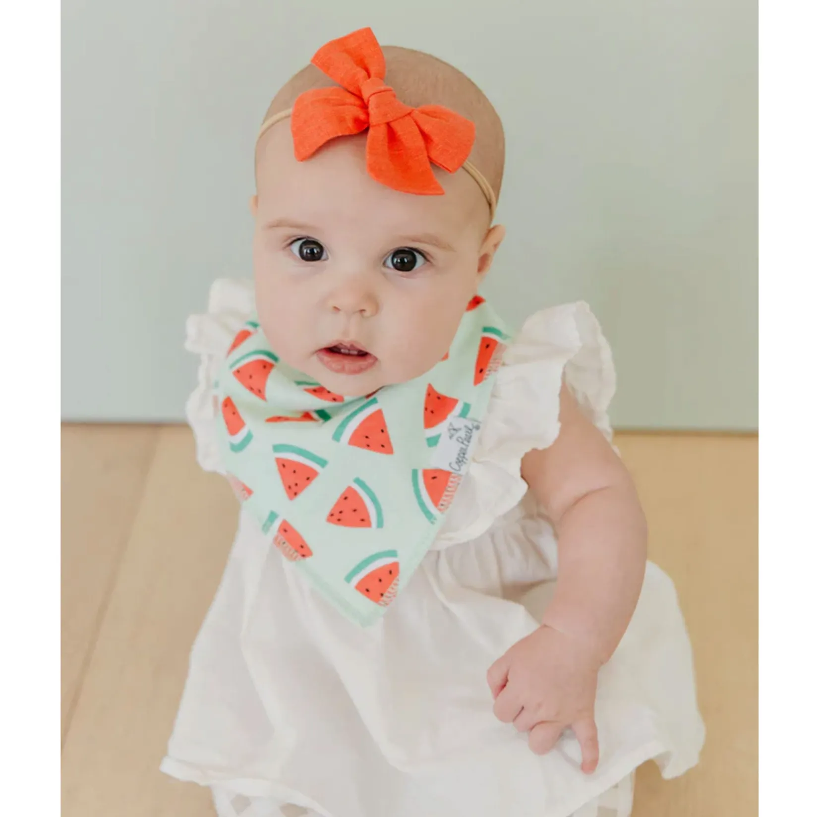 Bibs|Breastfeeding>Copper Pearl Baby Bandana Bibs (4) - Fruits