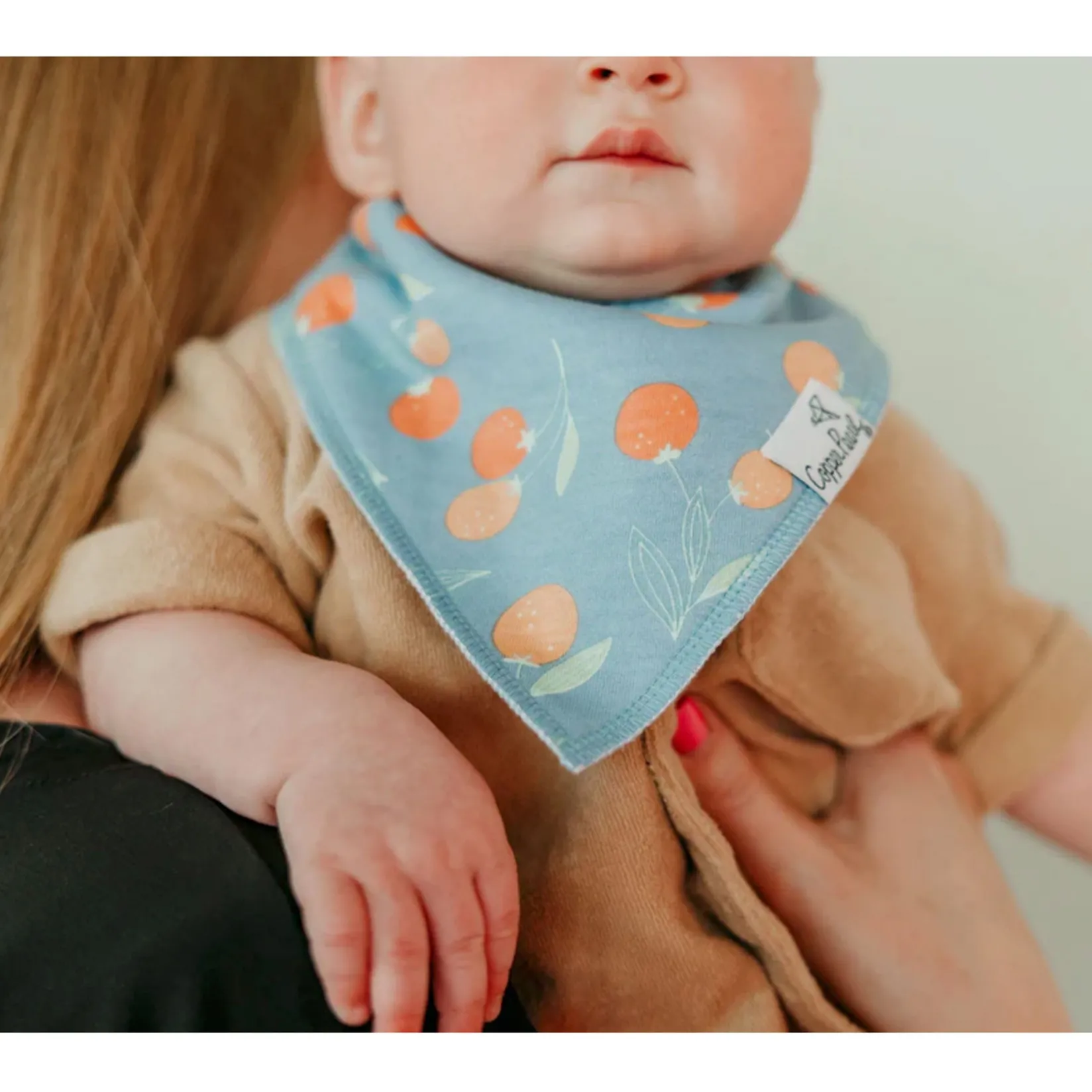 Bibs|Breastfeeding>Copper Pearl Baby Bandana Bibs (4) - Fruits