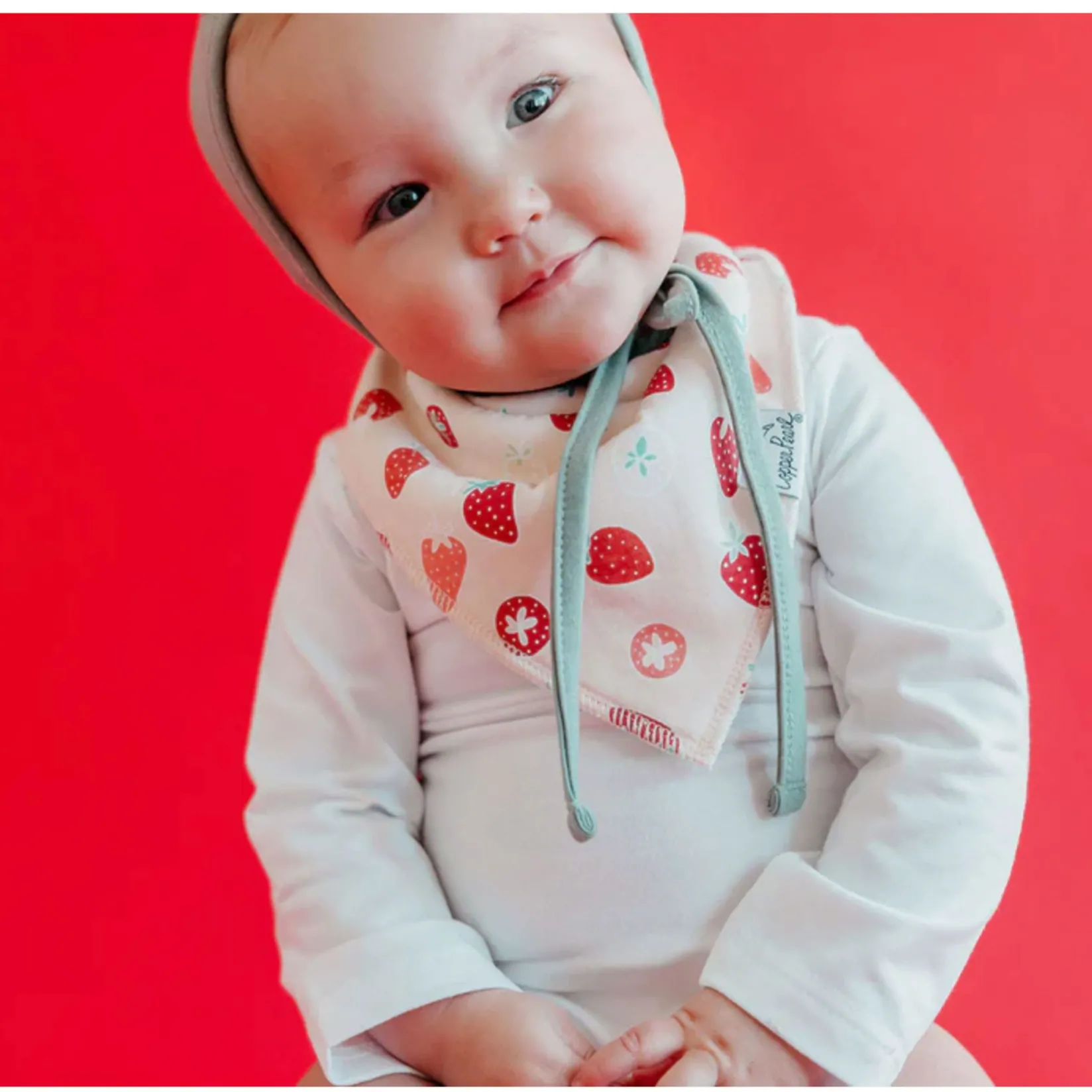 Bibs|Breastfeeding>Copper Pearl Baby Bandana Bibs (4) - Fruits