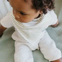 Baby Bandana Bibs (4) - Dinosaurs Rex Bibs|Breastfeeding