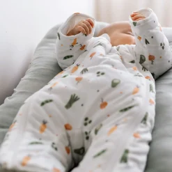 Online Baby Sleepsuit for 3-6 months - Vegetables BOY Sleep Bags|Pajamas