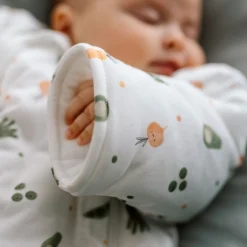 Online Baby Sleepsuit for 3-6 months - Vegetables BOY Sleep Bags|Pajamas