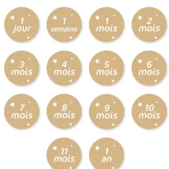 Best Baby's 1st Year Milestone Kids Blankets|Blankets