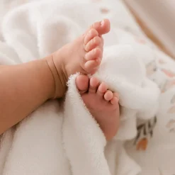 Towels & Wipes|Towels & Wipes><noscript><img width=