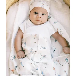 Blankets|Blankets><noscript><img width=