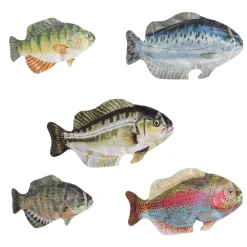 Online Big Fish Game Kids Board Games