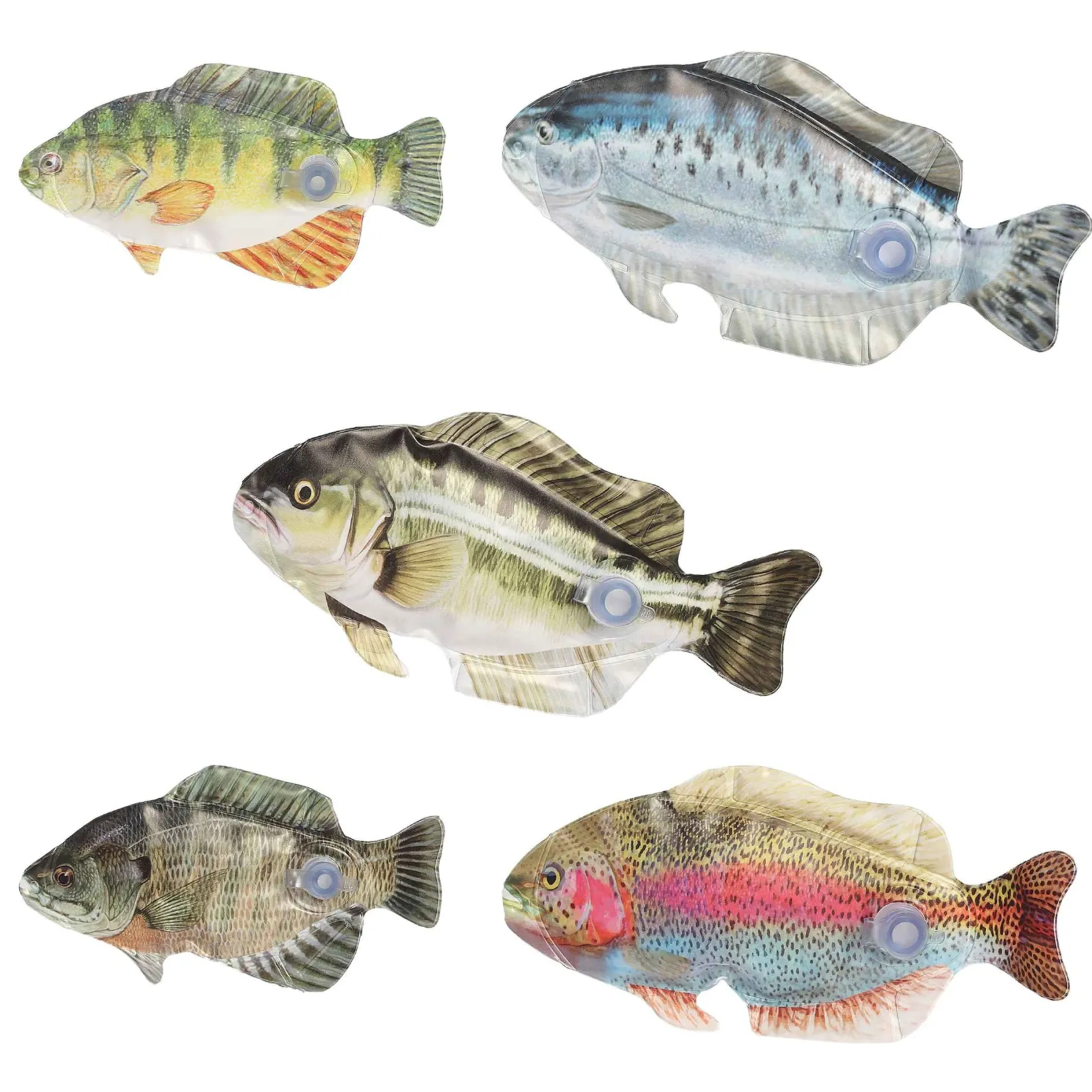 Online Big Fish Game Kids Board Games