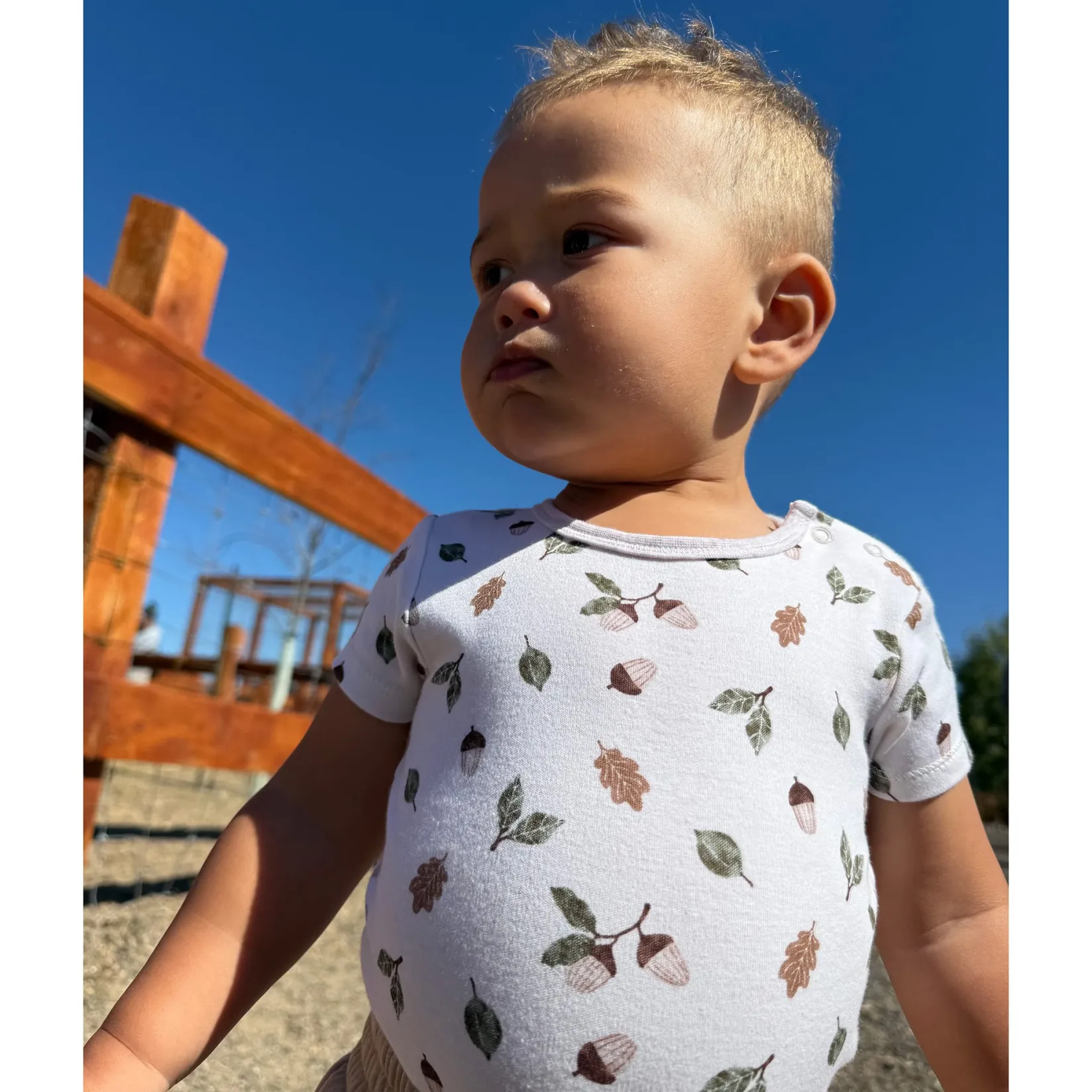 Bodysuits|Bodysuits>Bebe Confort Bodysuits (3) Autumn 0-30m Taupe