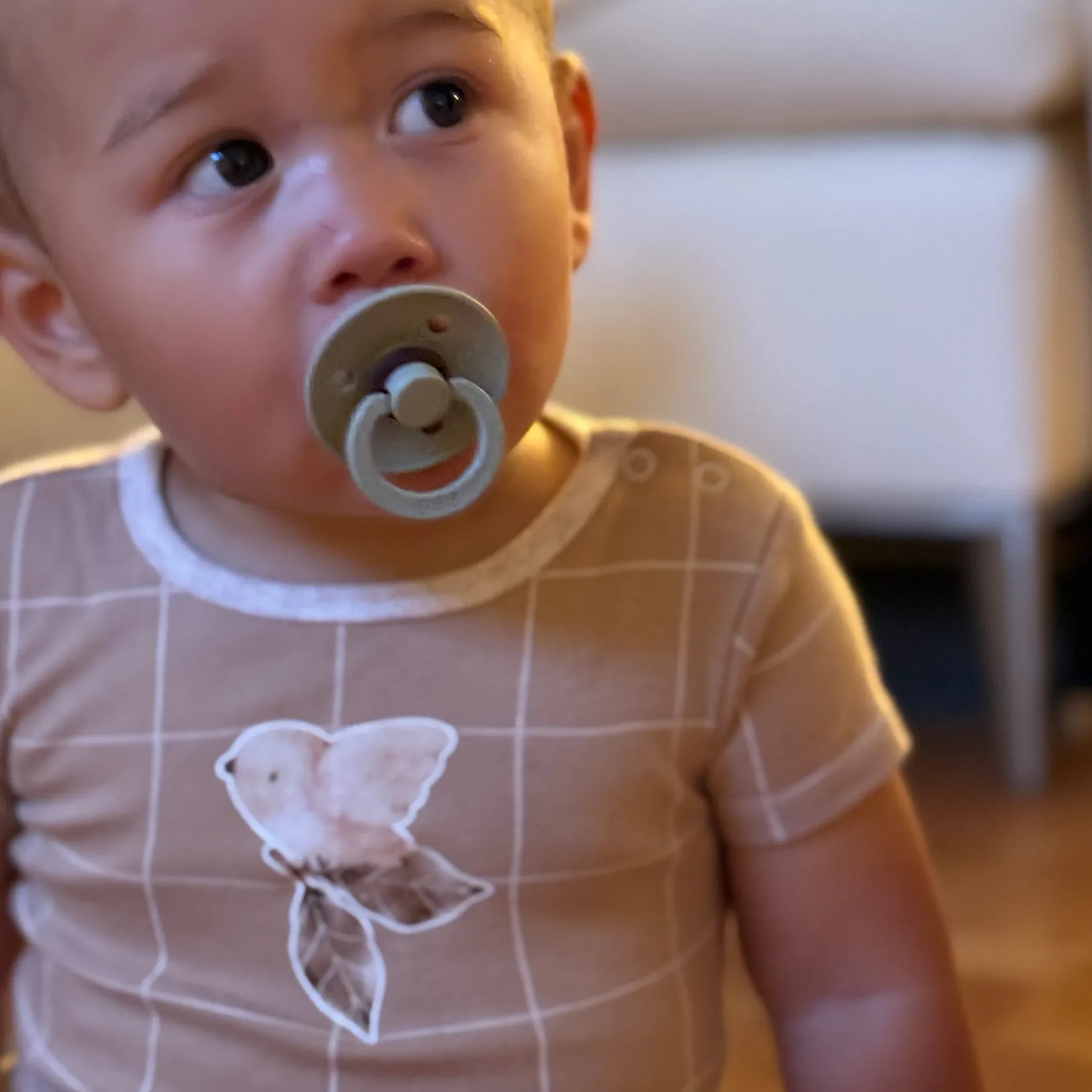 Bodysuits|Bodysuits>Bebe Confort Bodysuits (3) Autumn 0-30m Taupe