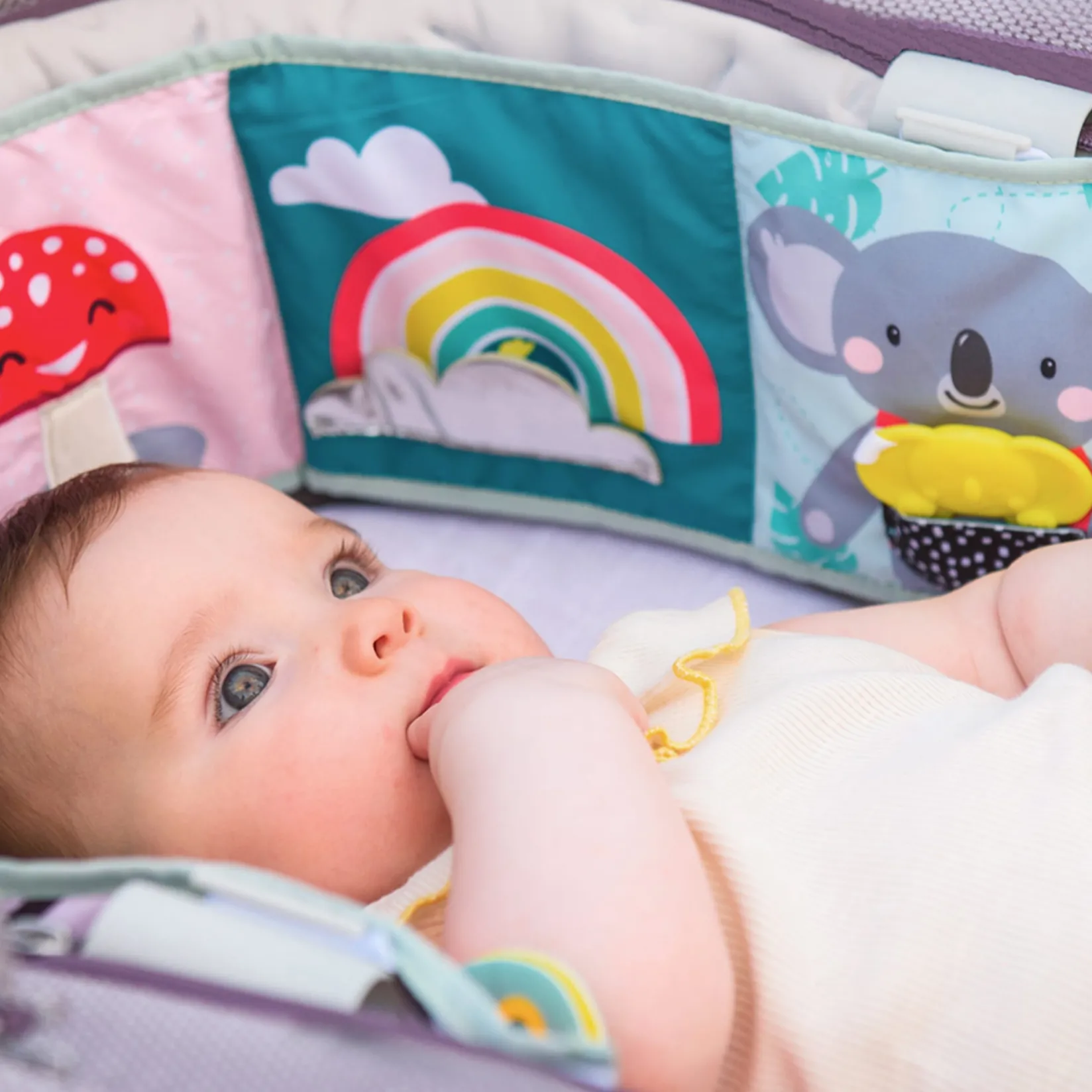 Book Koala Clip On Pram Developmental Toys