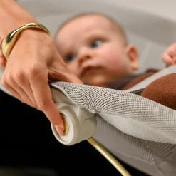 Bouncer Dove Pro - Elegance Graphite Swings & Rockers