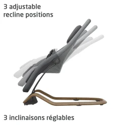 Bouncer Dove Pro - Elegance Graphite Swings & Rockers