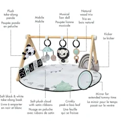 Developmental Toys|Play Mat>Tiny Love B&W Decor Gymini