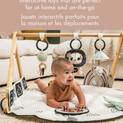 Developmental Toys|Play Mat><noscript><img width=