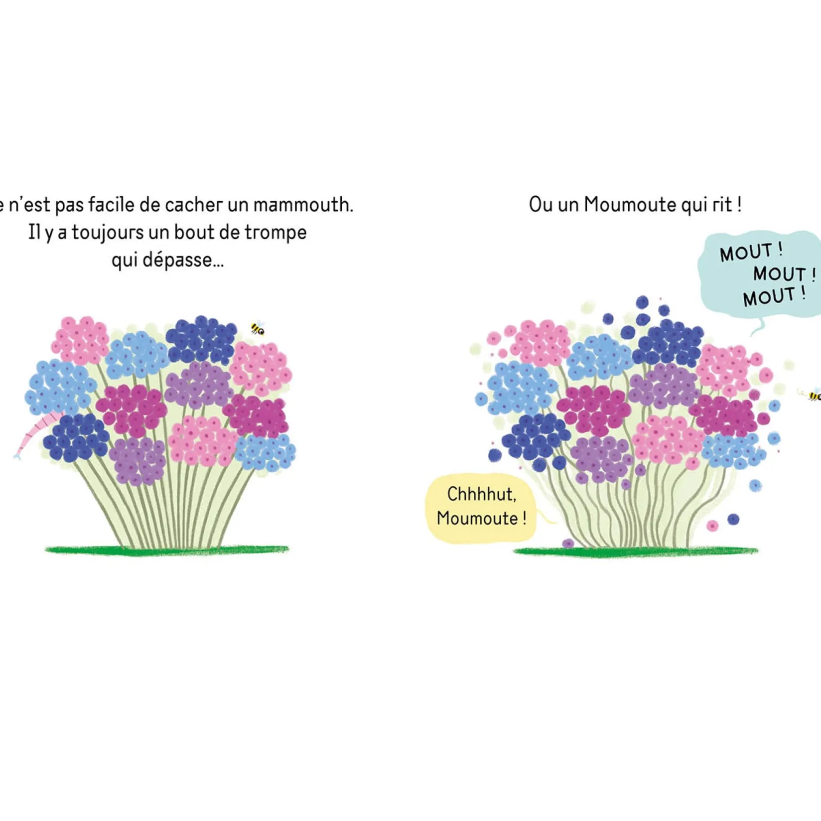 Cache-Cache Moumoute Baby 0-2 Years
