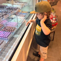 Sale Camping T-shirt 2-12y Kids/BOY Tops