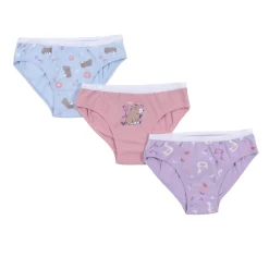 Underwear & Socks>Nano Capybaras 3pk Undies 2-12 Blue