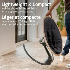 Swings & Rockers><noscript><img width=