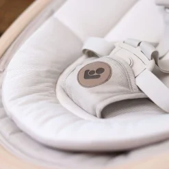 Best Cassia Swing - Classic Oat Swings & Rockers