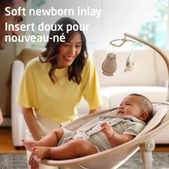 Best Cassia Swing - Classic Oat Swings & Rockers