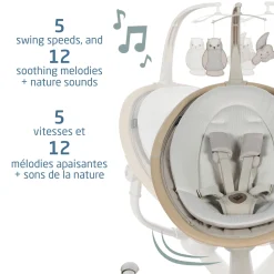 Best Cassia Swing - Classic Oat Swings & Rockers