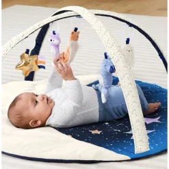 Celestial Dreams Activity Gym Developmental Toys|Play Mat