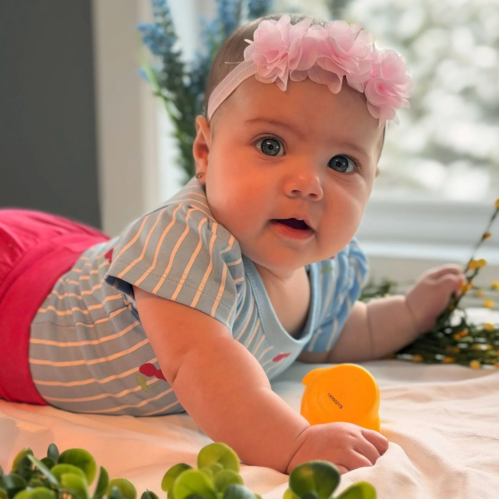 Discount Cherry Stripe Bodysuit 3-24m Tops