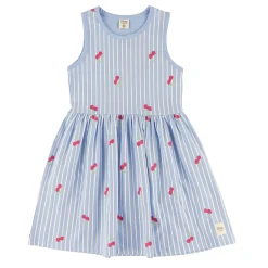 Dresses & Rompers>Camp by Birdz Cherry Stripe Dress 2-8y Bleu