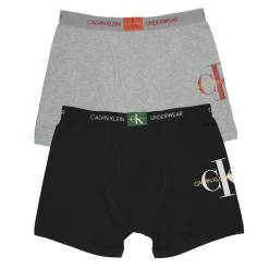 Underwear & Socks>Calvin Klein CK 2-pack Boxer Briefs 4-16y Grey
