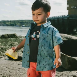 Shorts & Bermuda><noscript><img width=