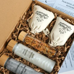 New Coffre Potion Rêves Enchantés Kids Diy & Activities