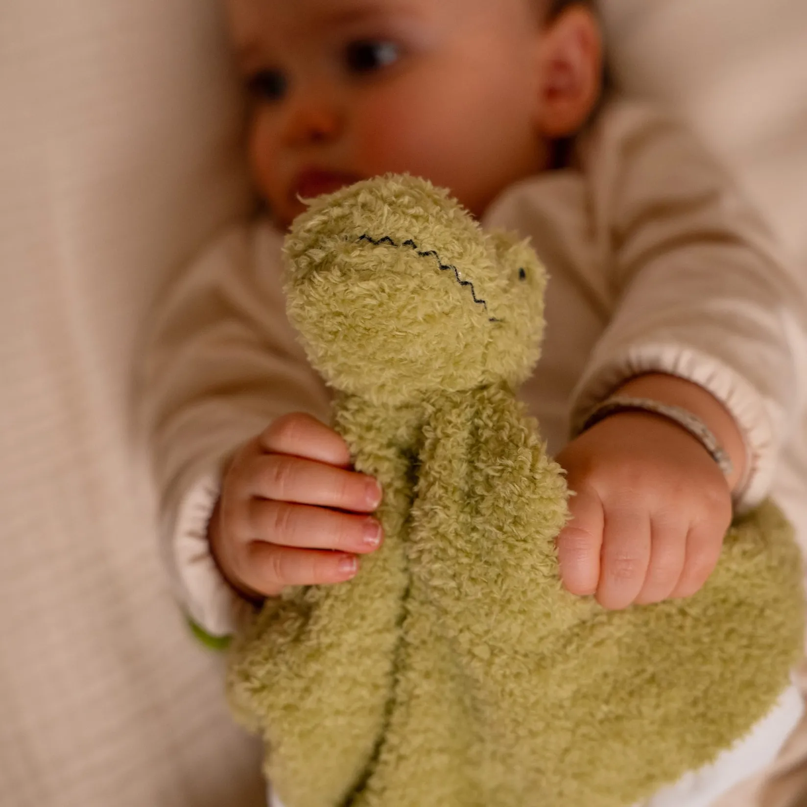 Hot Comfort Plush - Rex The Tyrannosaurus Developmental Toys