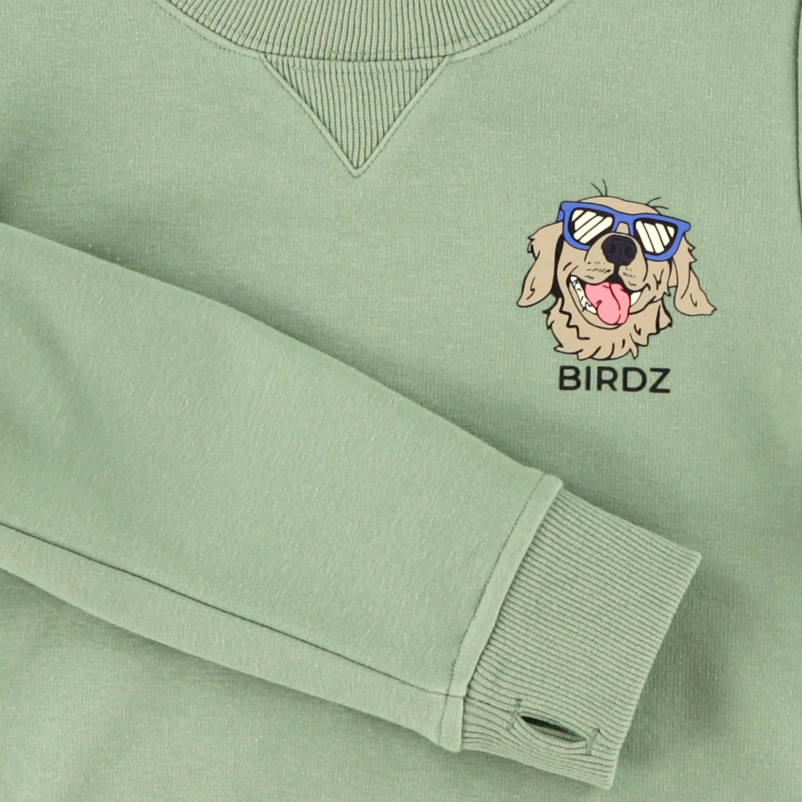 Cool Dog Sweatshirt 2-10 Kids/BOY Fleeces And Sweatshirts|Tops