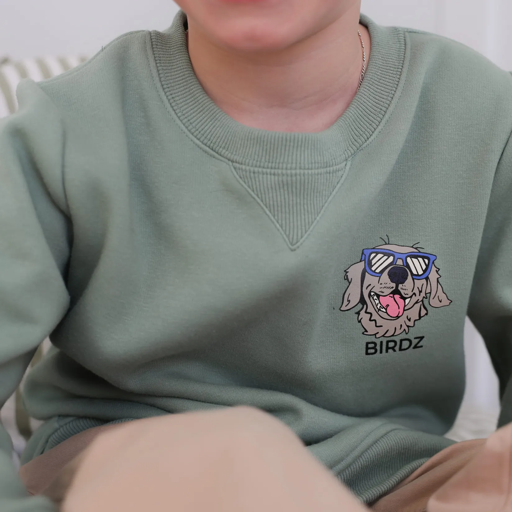 Cool Dog Sweatshirt 2-10 Kids/BOY Fleeces And Sweatshirts|Tops