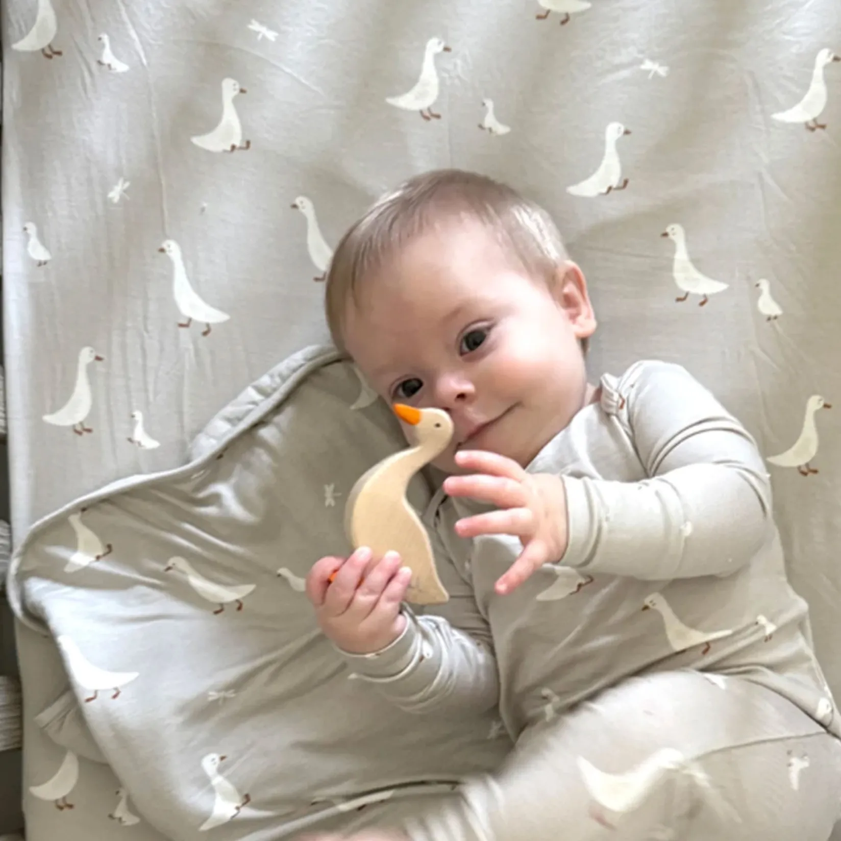 Sale Crib Sheet - Goose Kids Sheets|Bedding