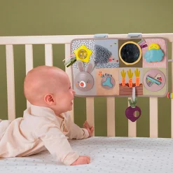 Developmental Activity center Developmental Toys|Play Mat